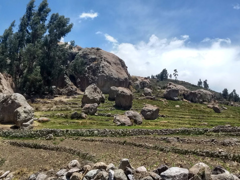 Tarata旅游攻略图片