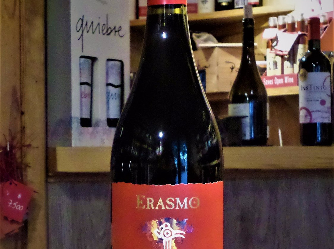 Vinonauta-圣克鲁斯必去景点