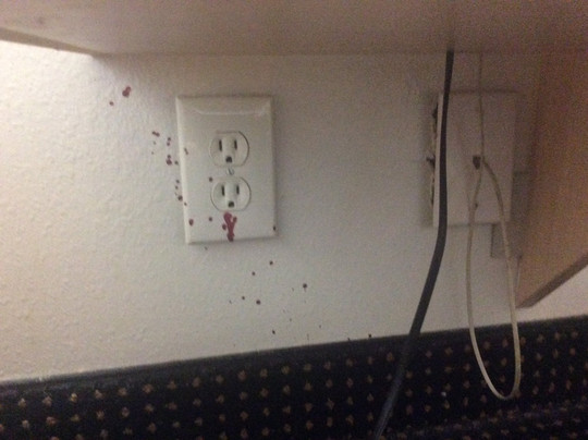 Supply酒店住宿-Quality Inn Shallotte Near Ocean Isle Beach