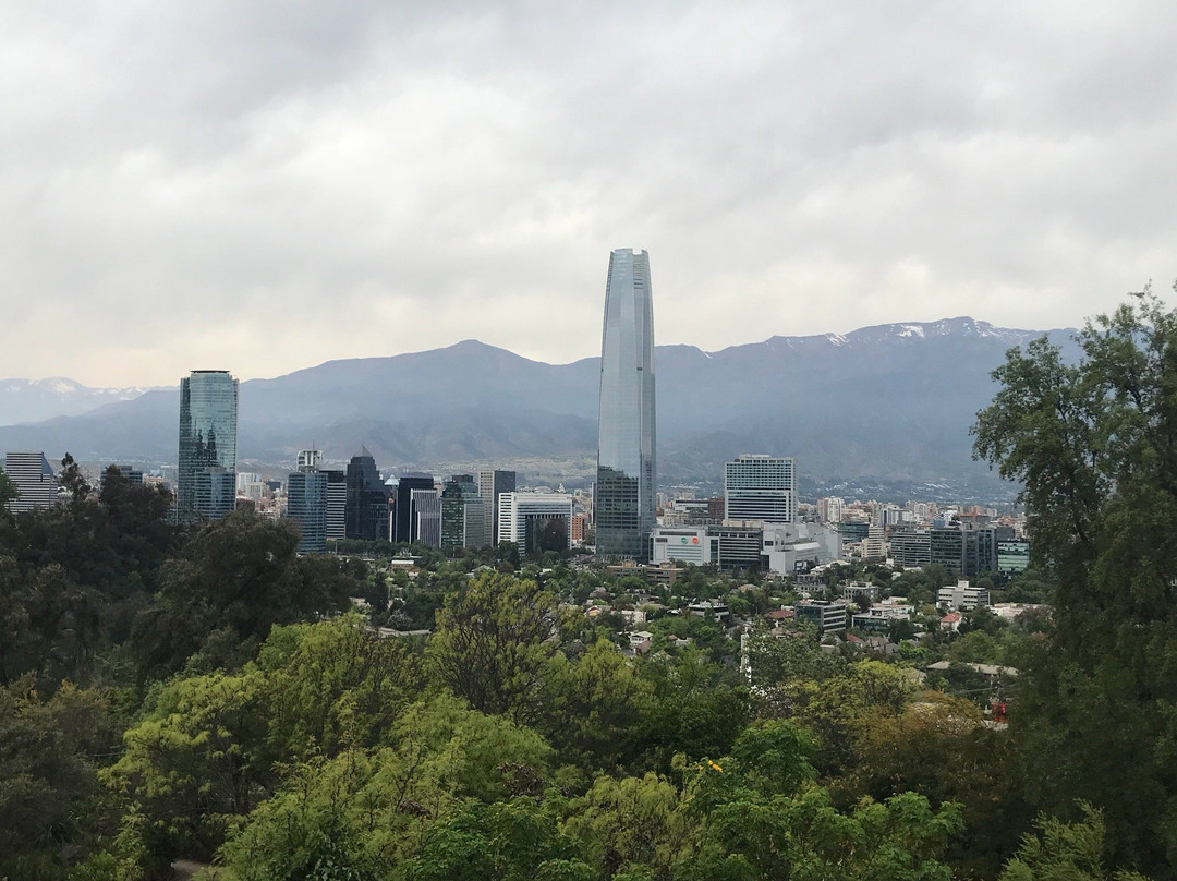 Jardín Botánico Mapulemu-圣地亚哥必去景点