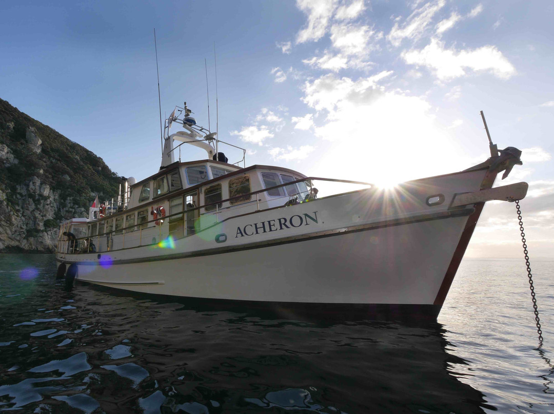 RV Acheron-Tutukaka必去景点