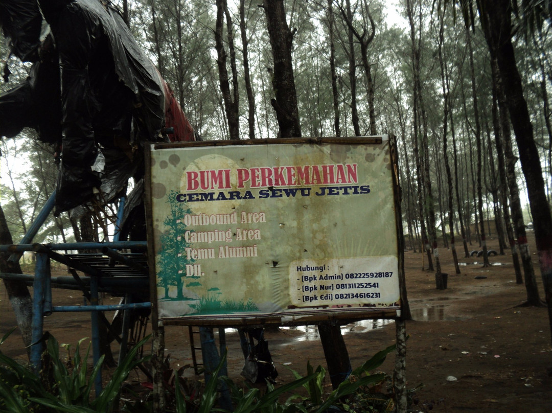 Cemara Sewu Beach-Cilacap必去景点