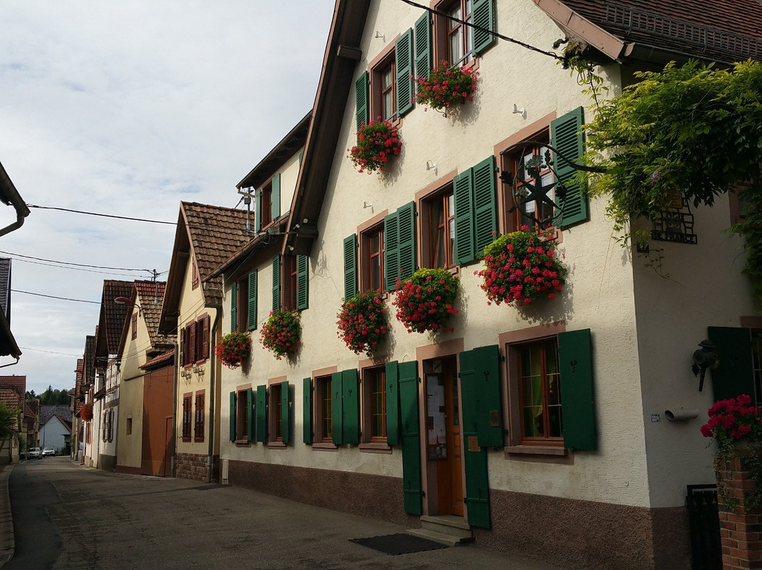 Mittelhausen旅游攻略图片