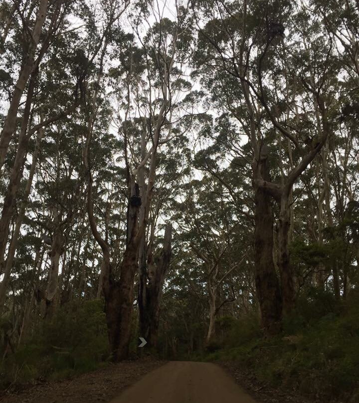 Torbay Glass Studio-奥尔巴尼必去景点