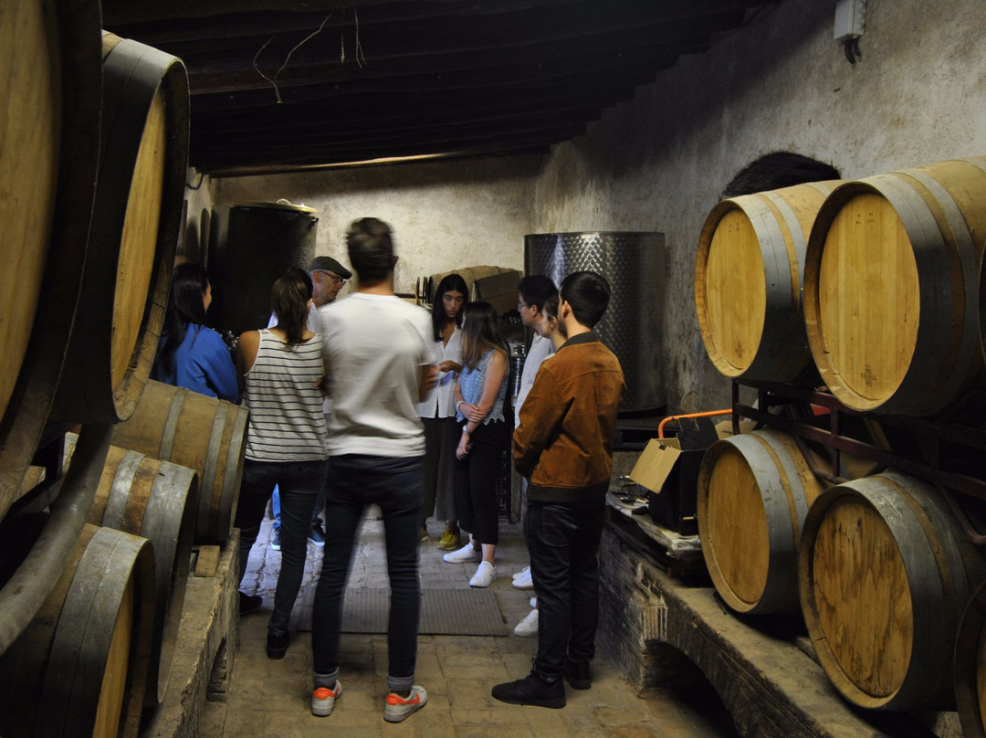 Garraf Wine Tours-Sant Pere de Ribes必去景点
