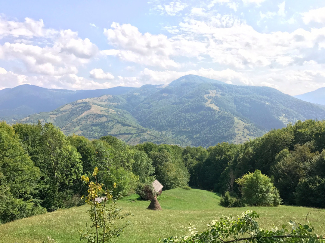 Carpathian Biosphere Reserve景点图片