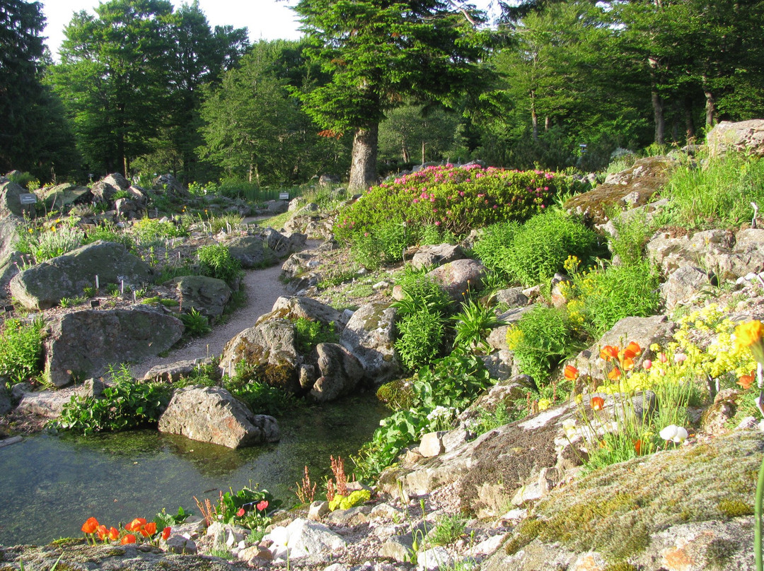 Jardin d'altitude du Haut Chitelet景点图片