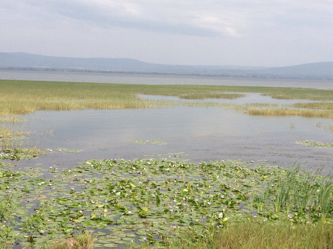 Zebra Guest House主图