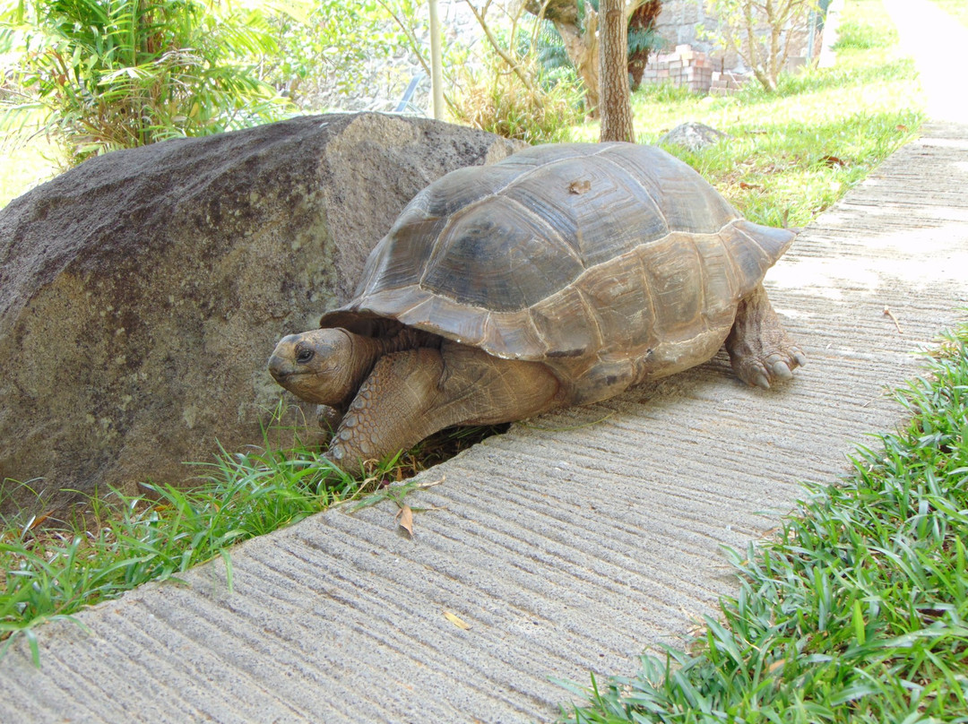 Spas Villas Machabee主图