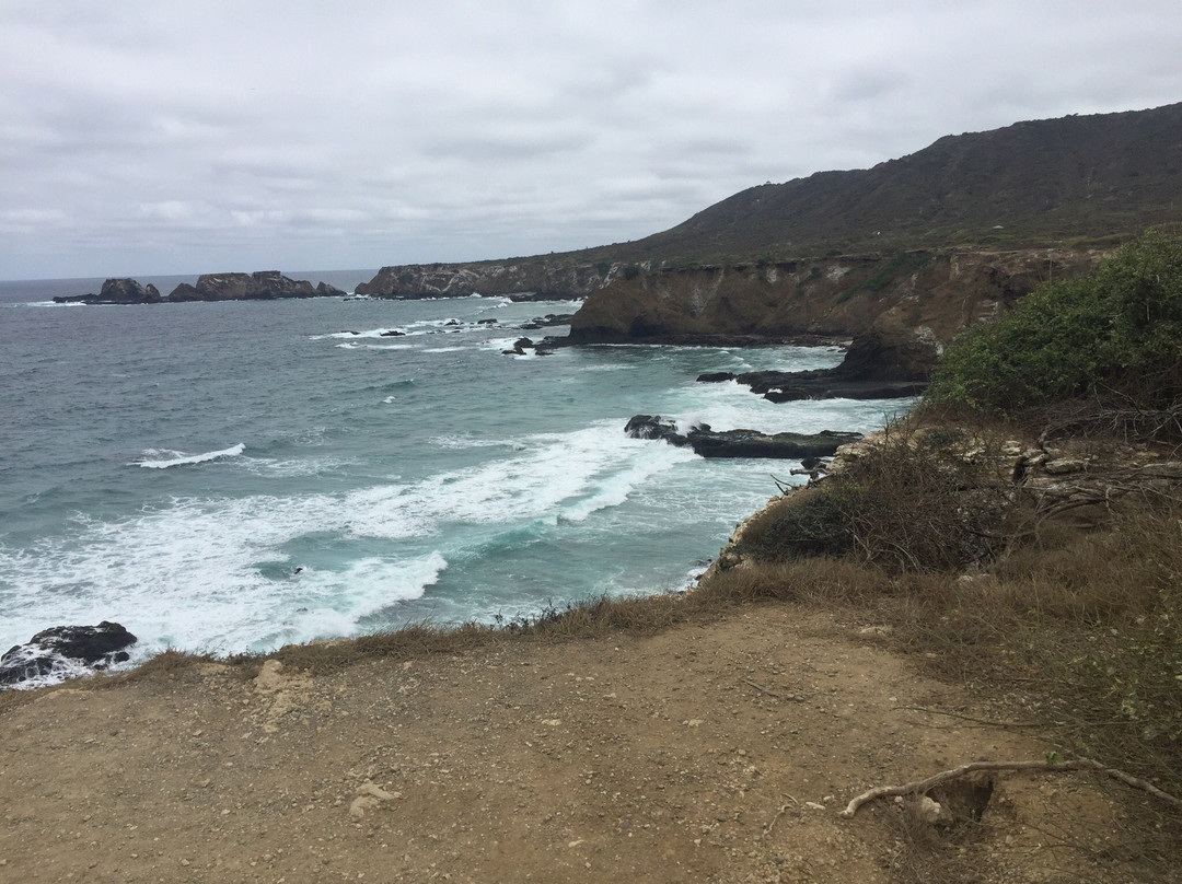 Isla de la Plata景点图片