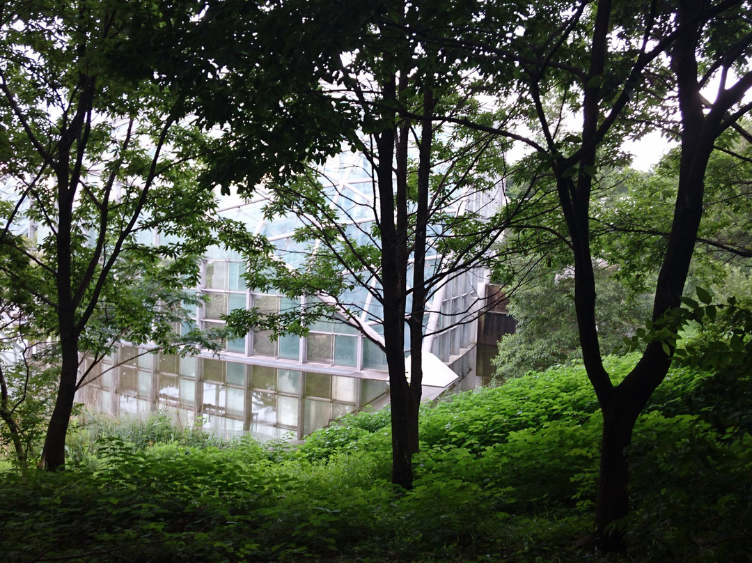 Gunma Konchu no Mori景点图片