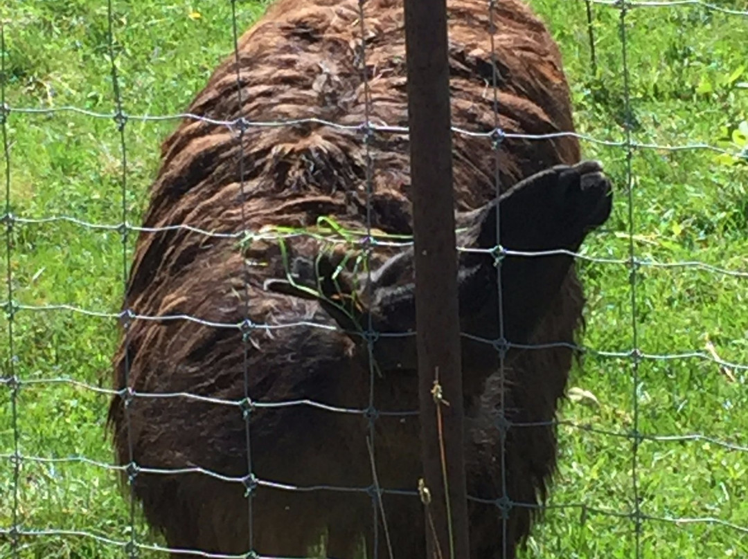 Vignoble de la Bauge  -Brigham必去景点