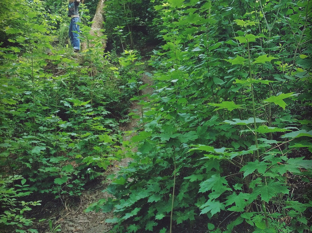 3D Archery Path-华沙必去景点