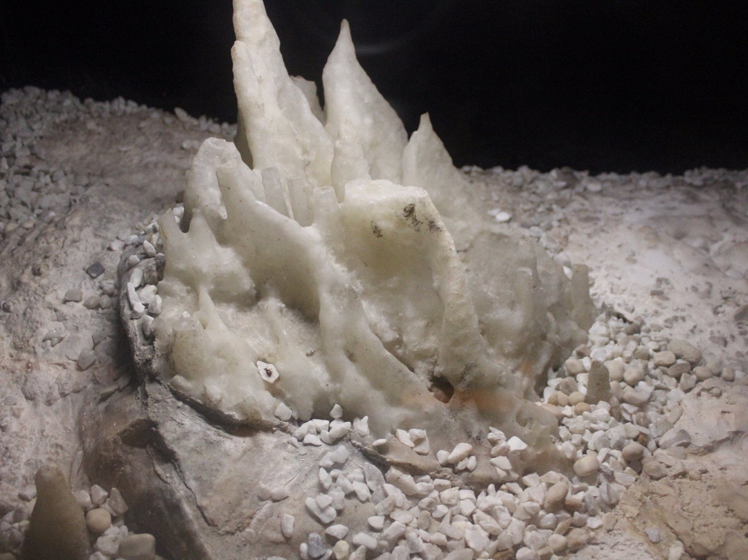 Postojna Cave-波斯托伊纳必去景点
