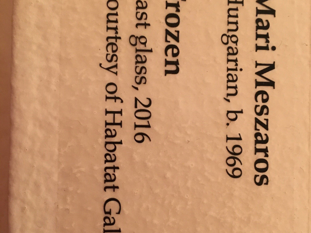 Fort Wayne Museum of Art-韦恩堡必去景点