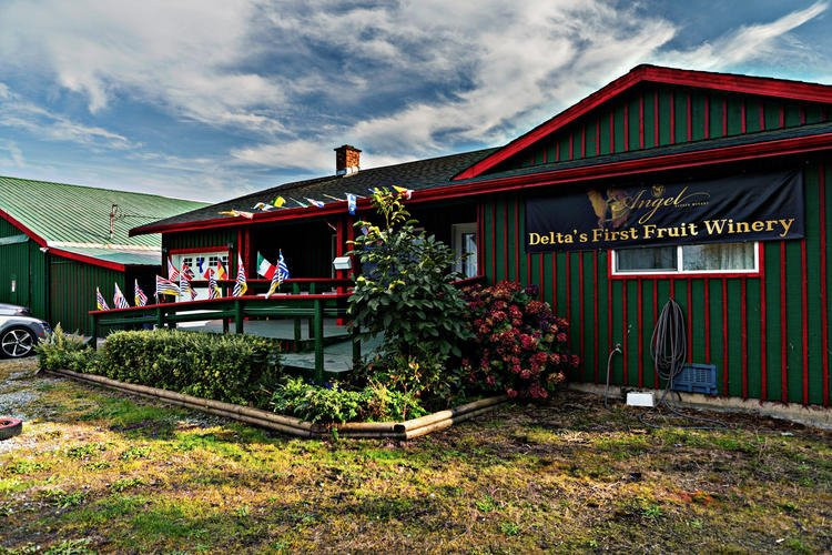 Angel Estate Winery景点图片