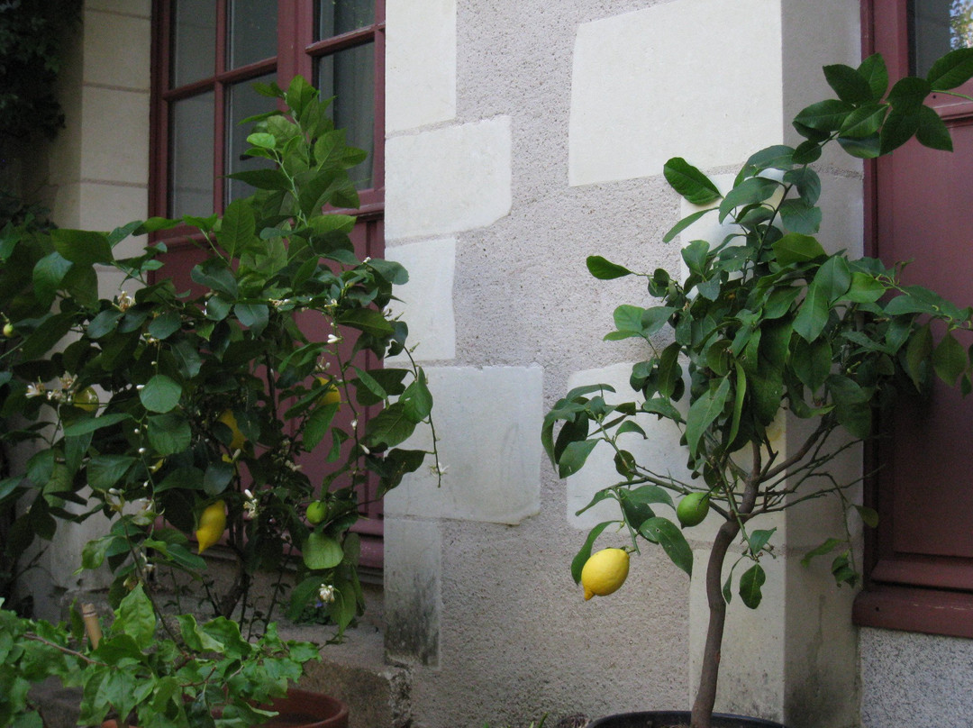 Le logis des Tourelles主图