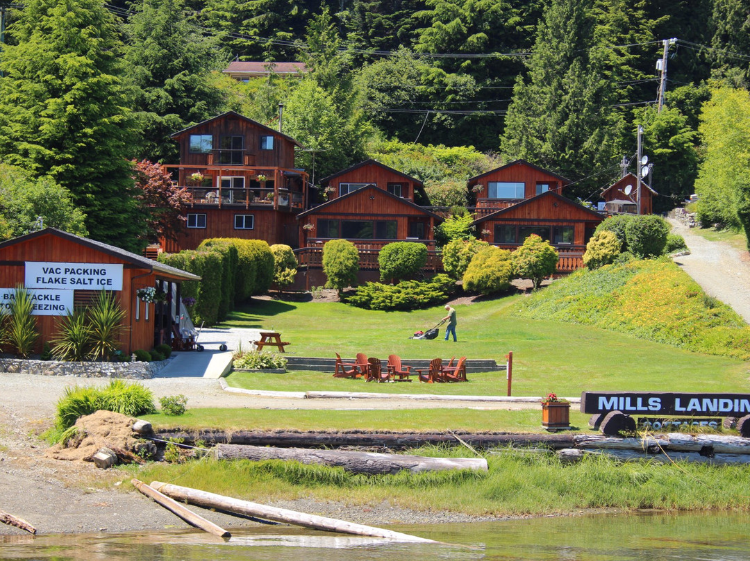Mills Landing Cottages And Charters