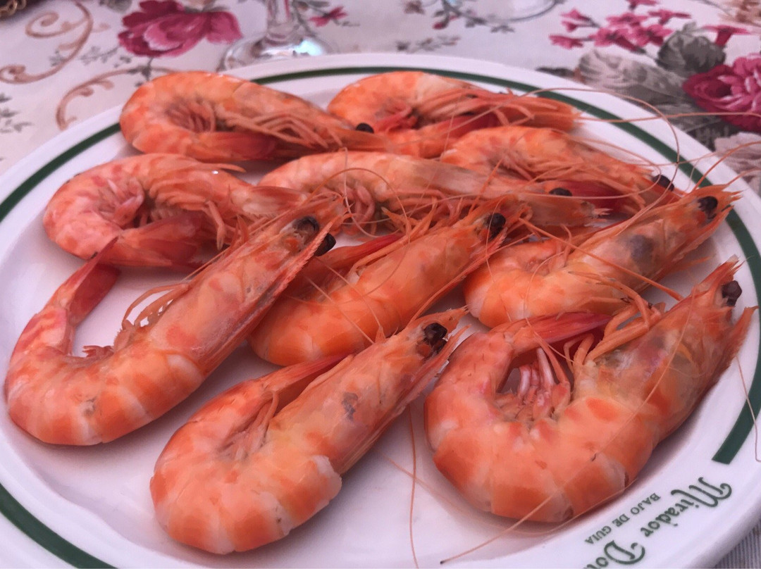 Feria de la Manzanilla-Sanlucar de Barrameda必去景点