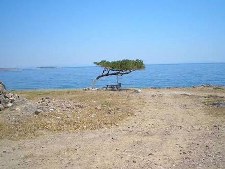 Agios Stefanos Beach景点图片