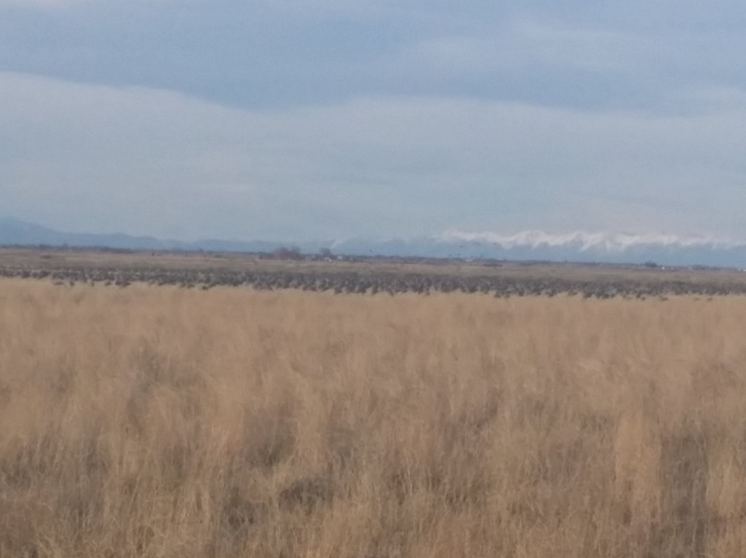 San Luis Valley Brewing Company-阿拉莫萨必去景点