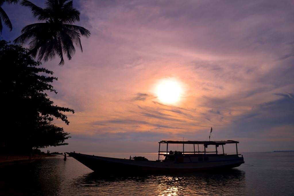 Dolphin Karimunjawa-卡里蒙加瓦必去景点