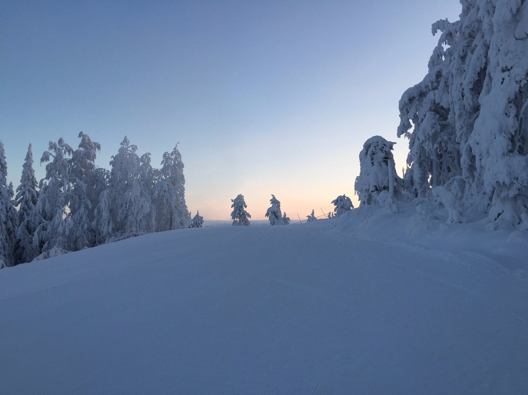 Vuokatti旅游攻略图片