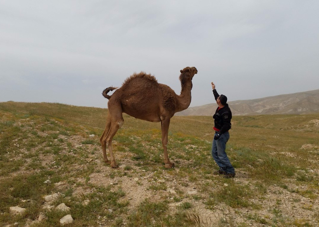 Bikelife-Netanya必去景点