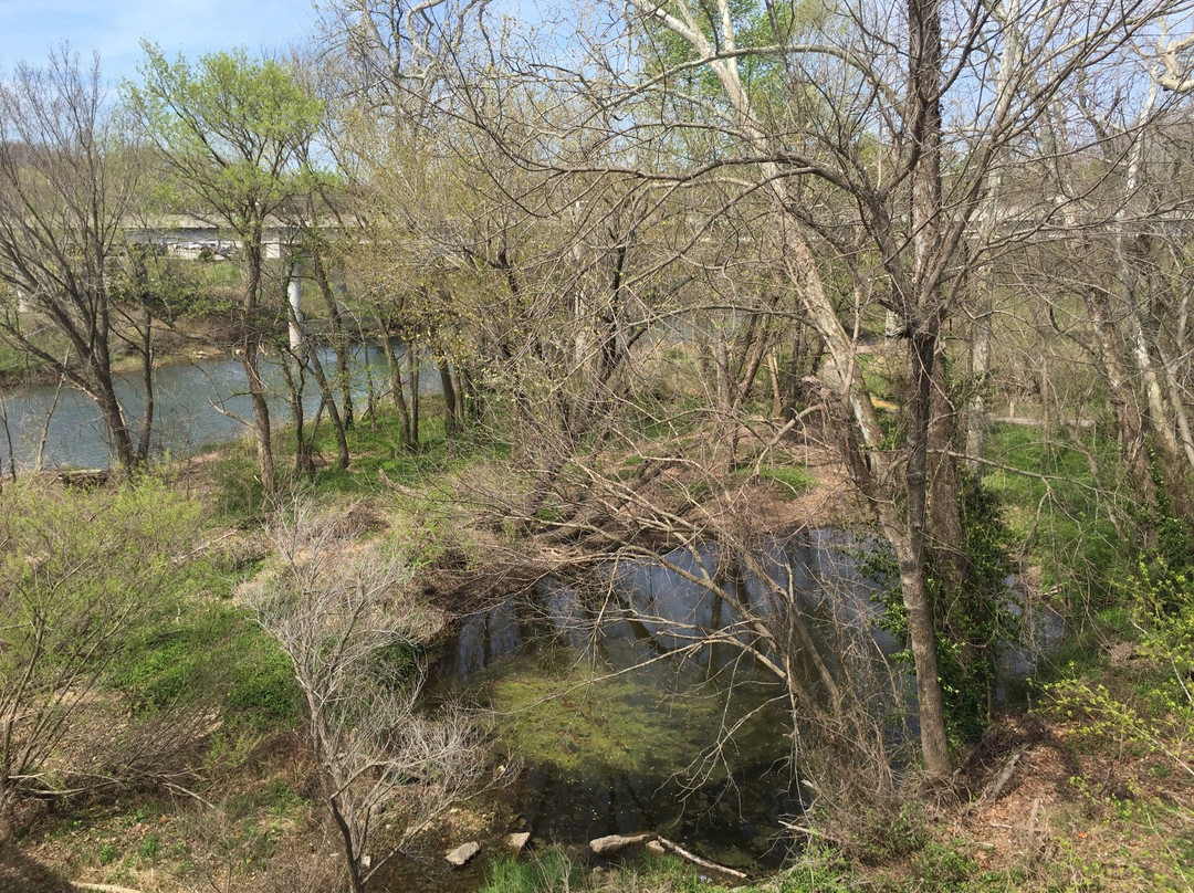 National Audubon Society-乔普林必去景点