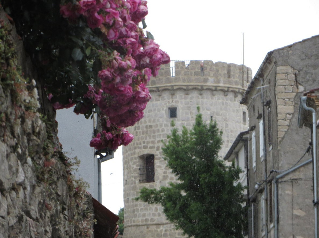 Cres Tower景点图片