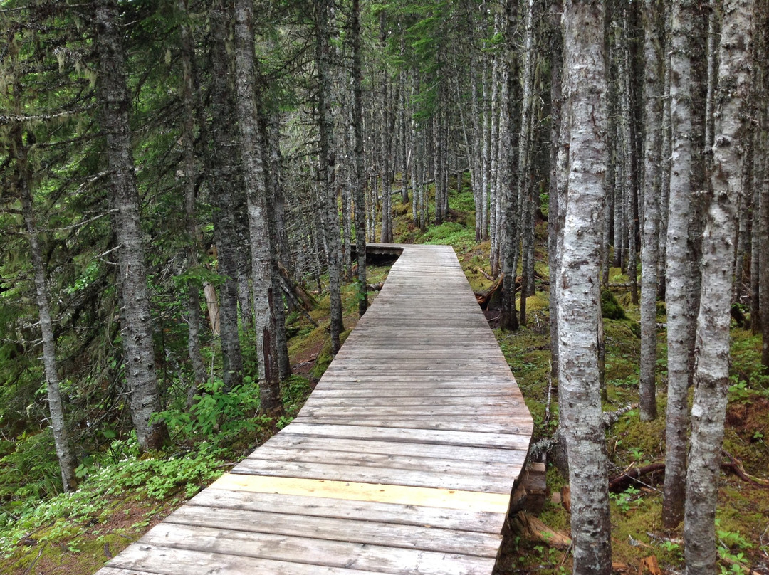 Underground Salmon Pool Trails-Main Brook必去景点