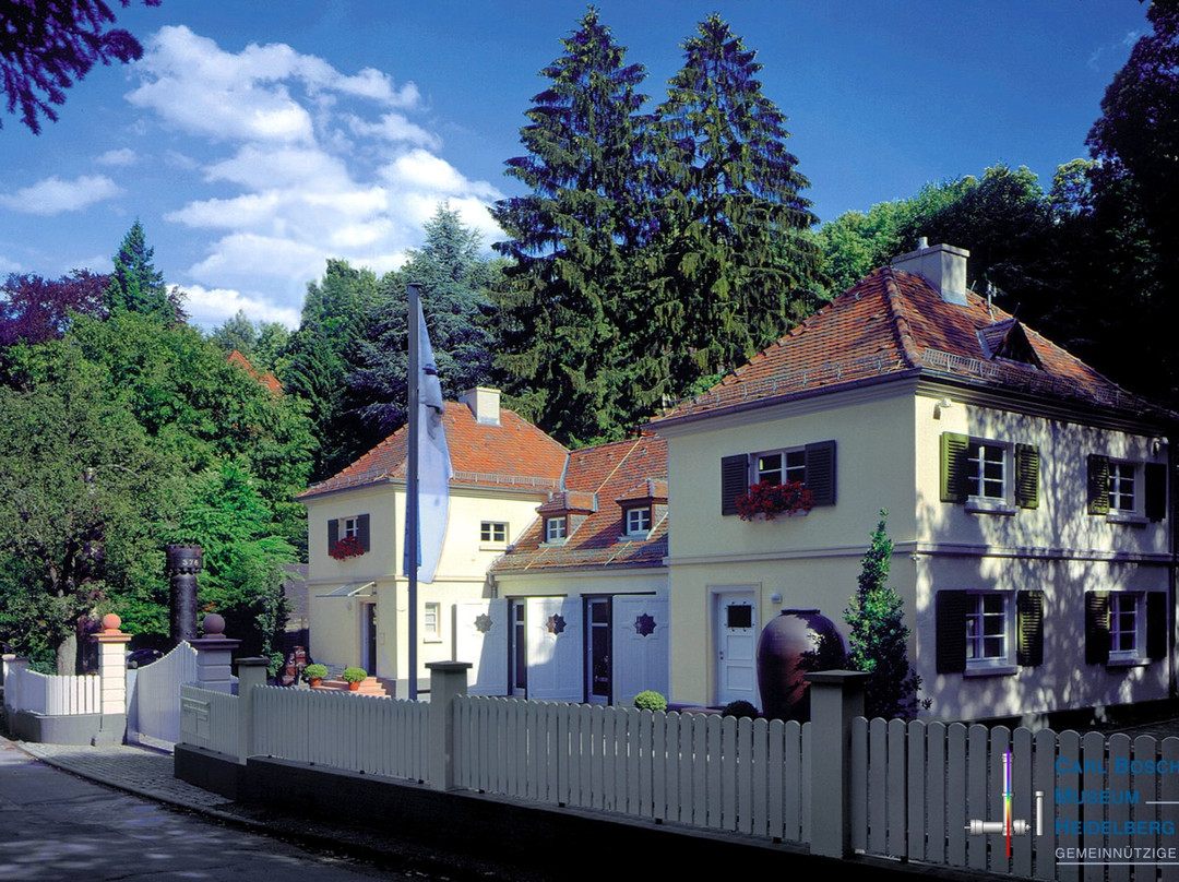 Neckarsteinach旅游攻略图片