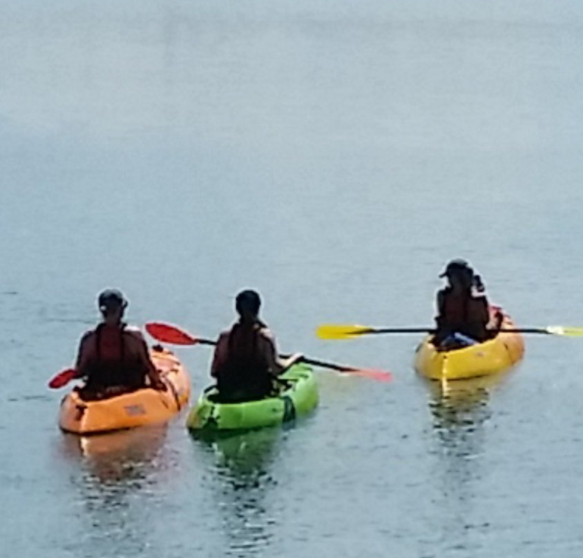 Hibiscus Kayak Hire-奥克兰中心地区必去景点