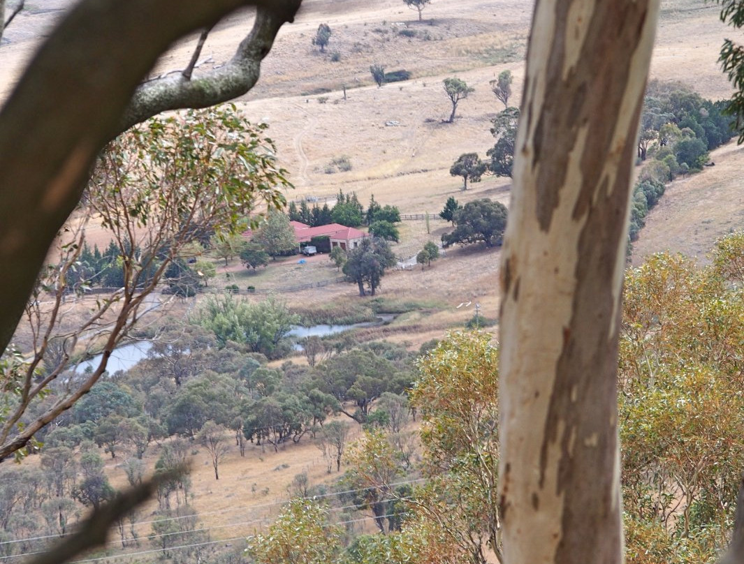 One Tree Hill Lookout Walk (Centenary Trail)景点图片