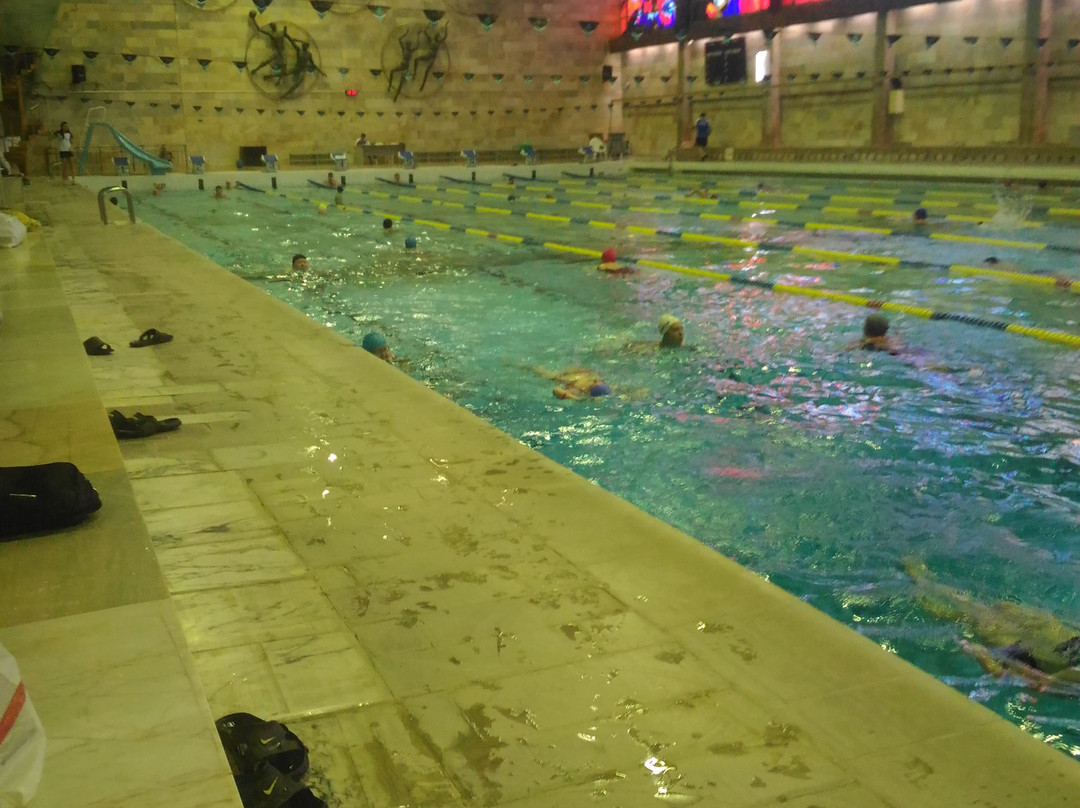 Swimming Pool BM景点图片