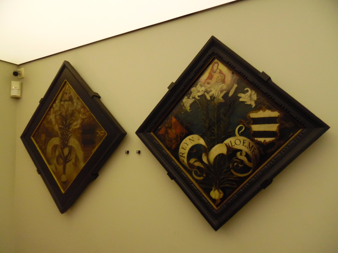 Stadsmuseum De Hofstadt景点图片