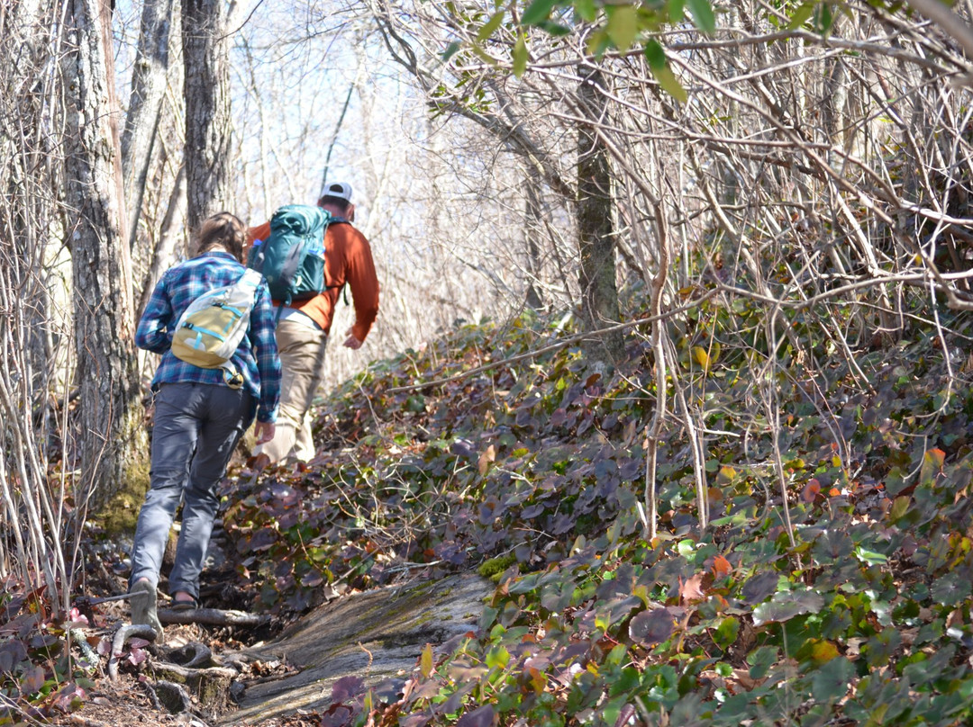 Oxbow River Snorkeling-Rosman必去景点