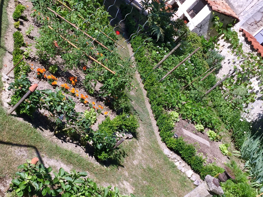 La Borderie du Go主图