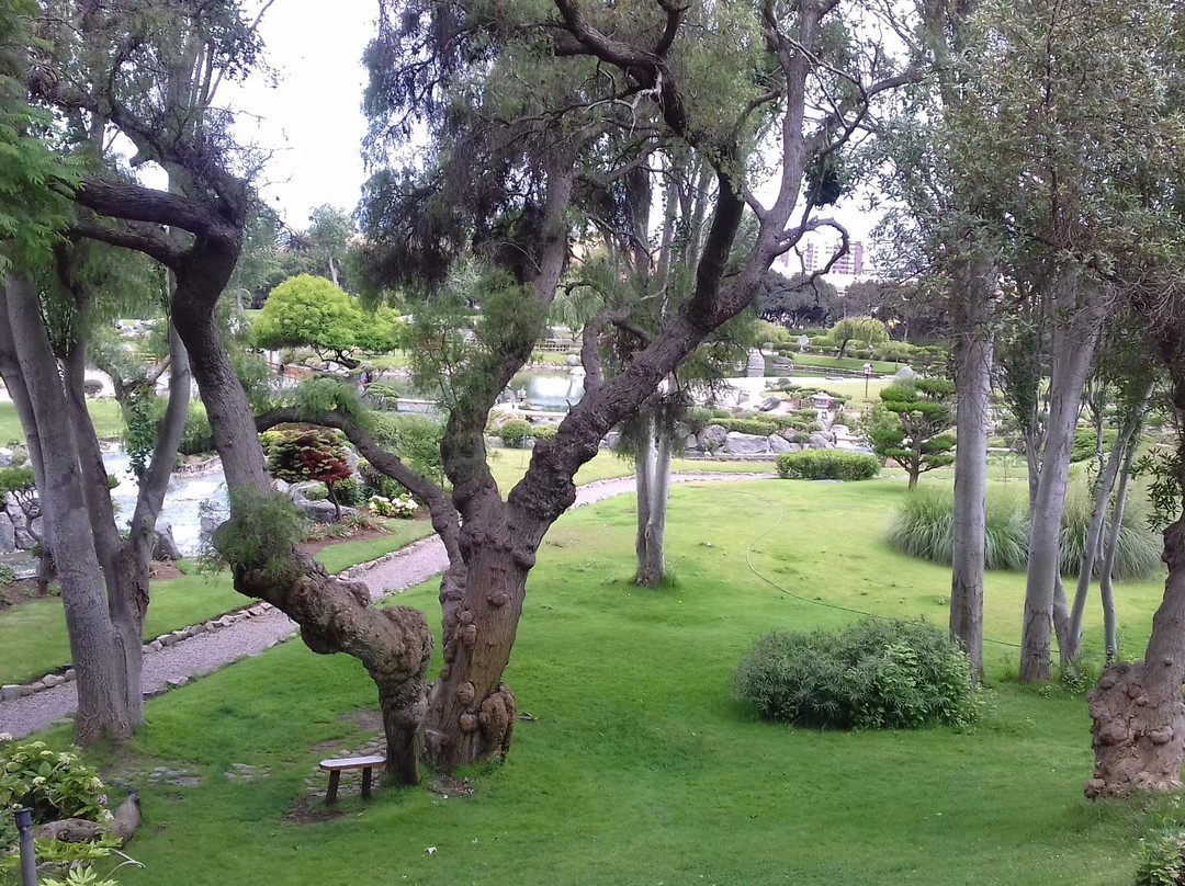 Playa El Faro-拉塞雷纳必去景点