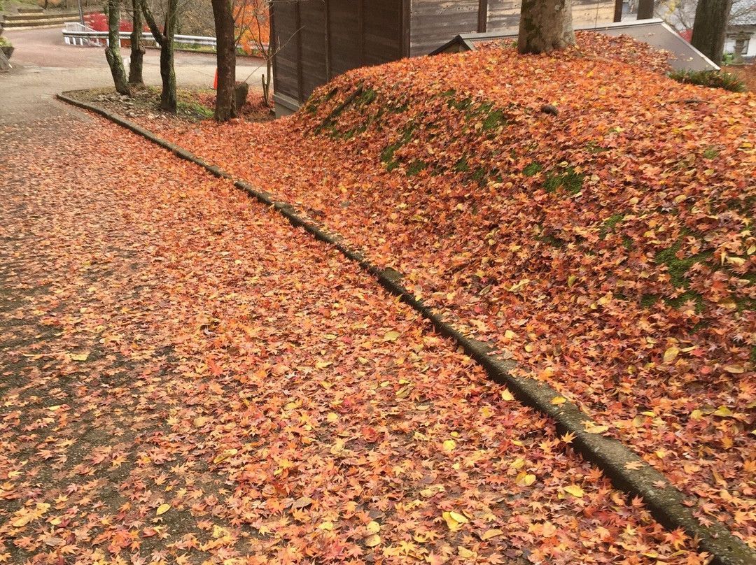 Kakyo Park-越前市必去景点