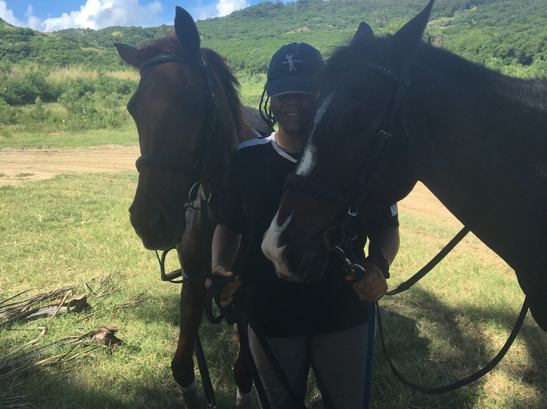 Cleland Equestrian Club-Saint Andrew Parish必去景点