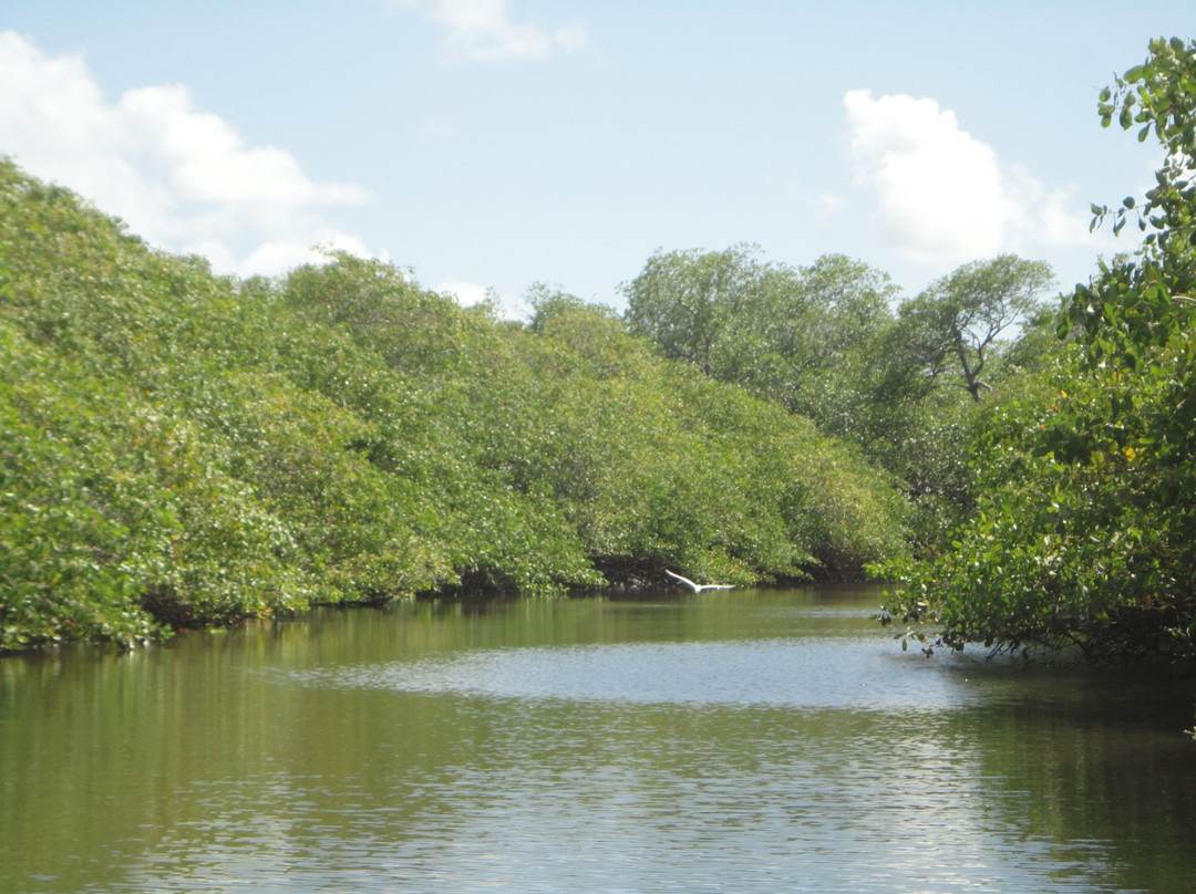 Conde旅游景点-Cajueirinho
