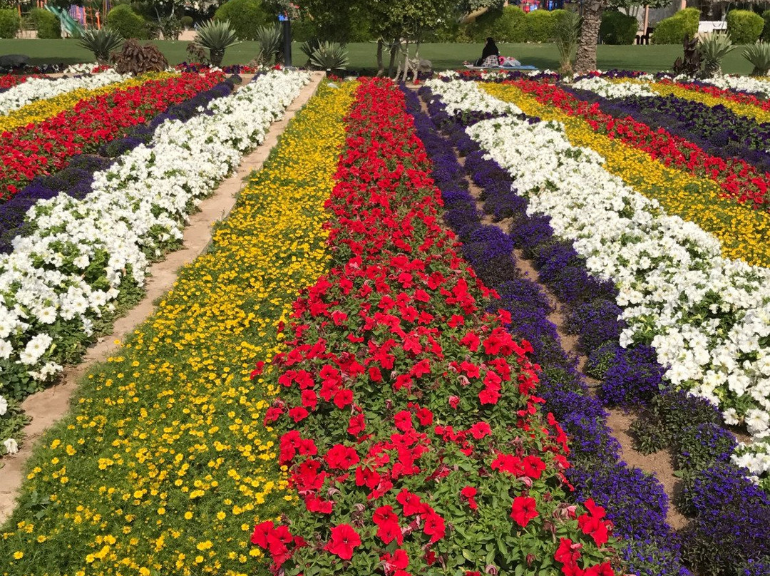 Al Wakrah Park-Al Wakrah必去景点