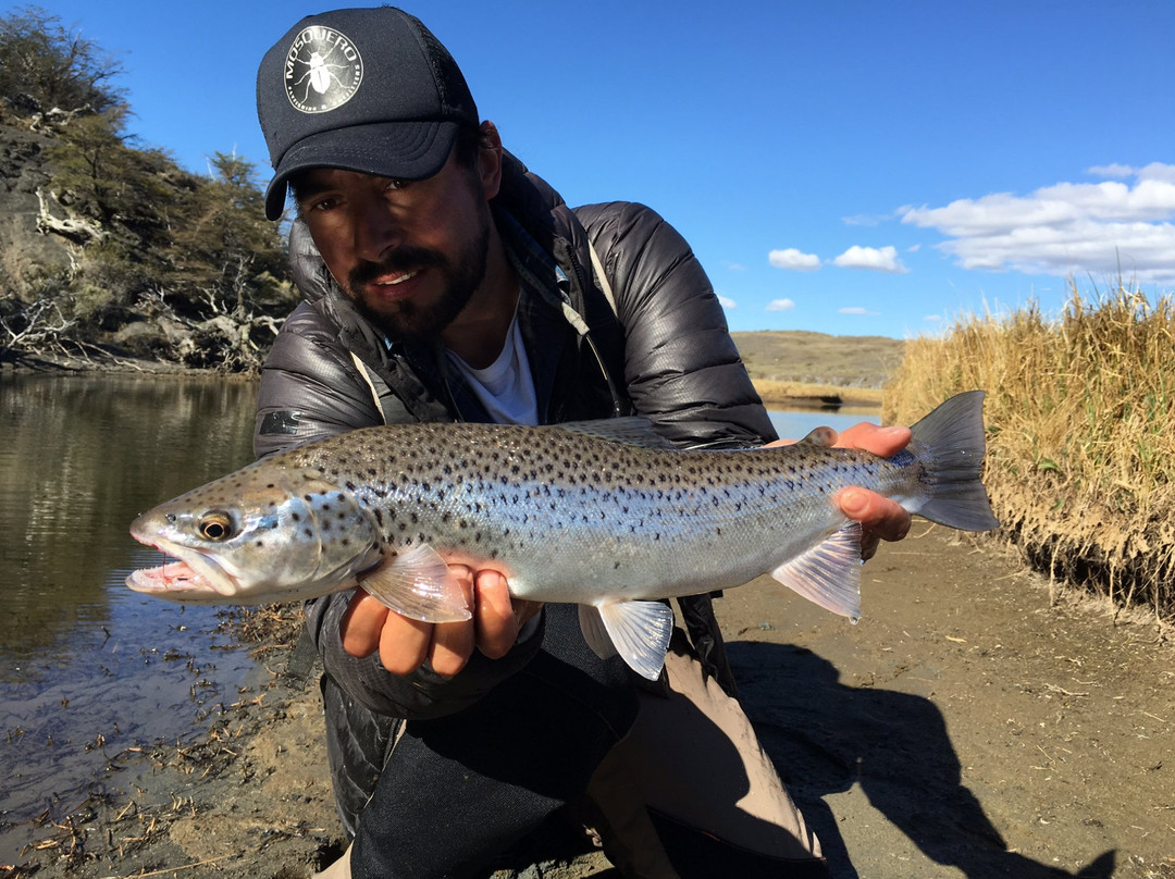 Mosquero Fly Fishing
