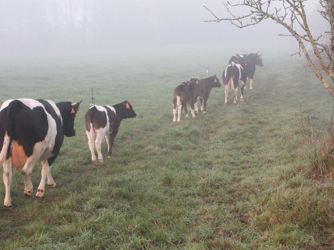 Ferme Le Buis Sonnant-Plouguernevel必去景点