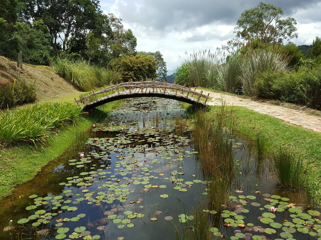 坎普斯－杜若尔当旅游攻略图片