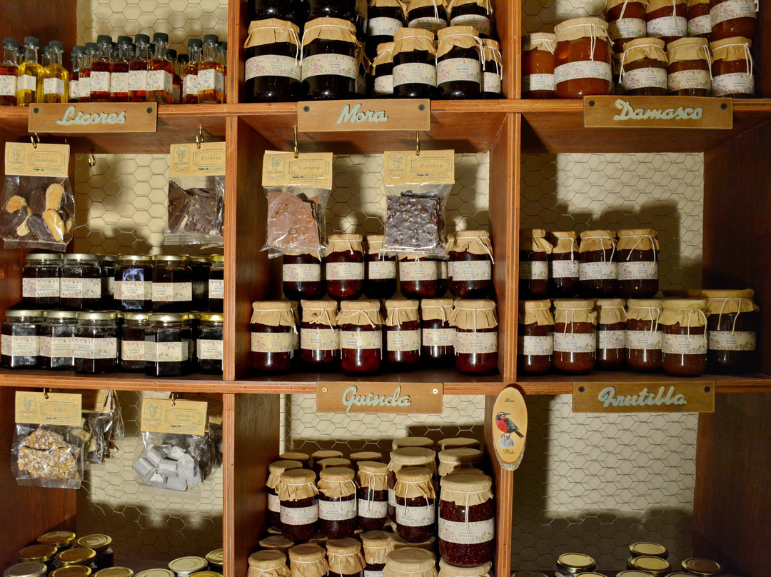 Vicki Johnson's-巴拉斯港必去景点