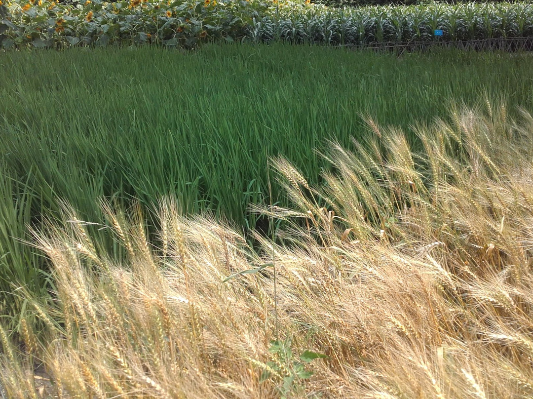 哈尔滨森林公园-哈尔滨市必去景点