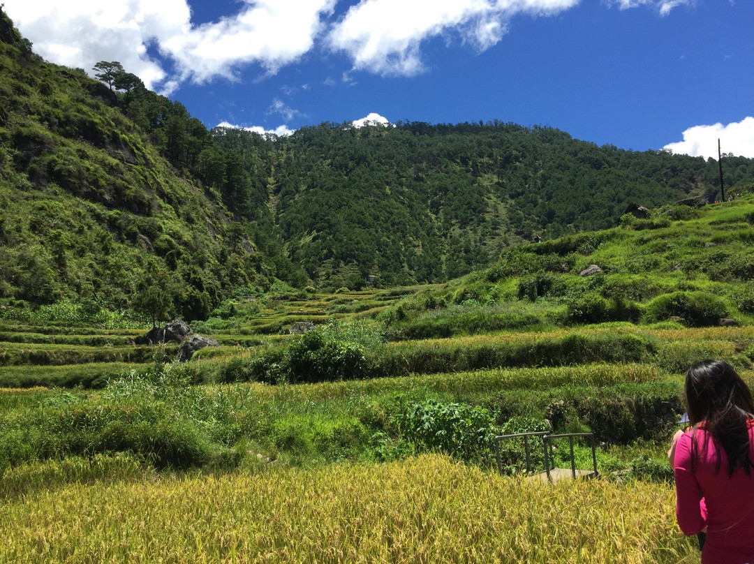 Aguid Rice Terraces-萨加达必去景点