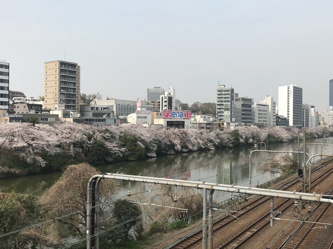 Sotobori Park-Yotsuya必去景点